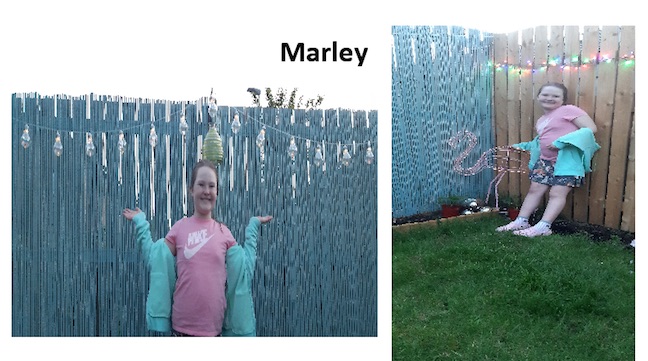 Marley Light pics